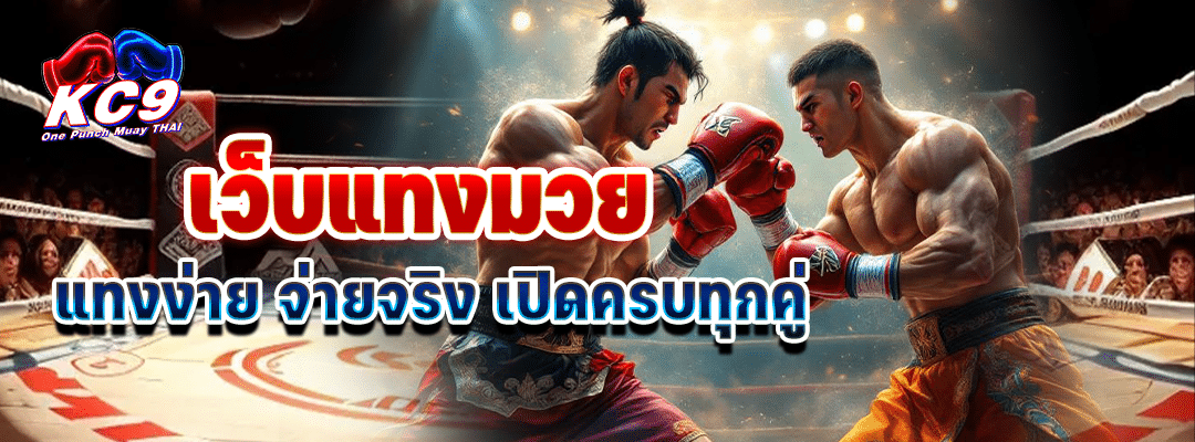 เว็บ แทง มวย