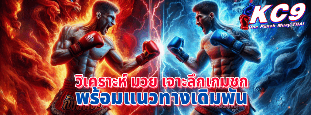วิเคราะห์ มวย