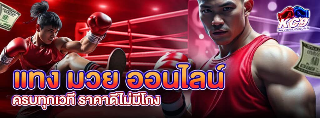 แทง มวย