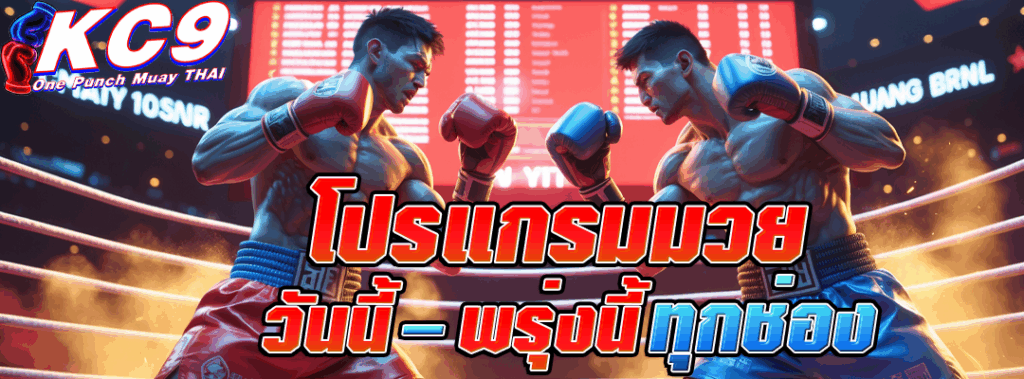 โปรแกรมมวย